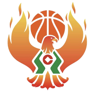 https://img.ijay.cn/img/basketball/team/09b49d34027e0409a4de3295f8c71a2d.png