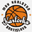 https://img.ijay.cn/img/basketball/team/0c2f73d2ab7041cf90029a20deff7f17.gif